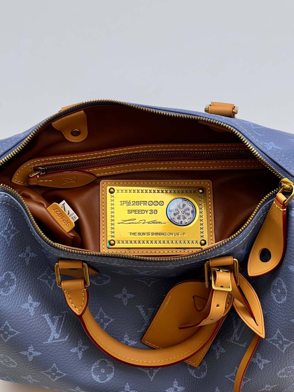Сумка Louis Vuitton 9