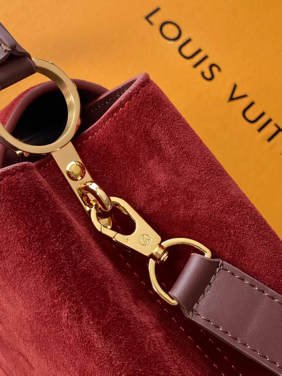 Сумка Louis Vuitton 6
