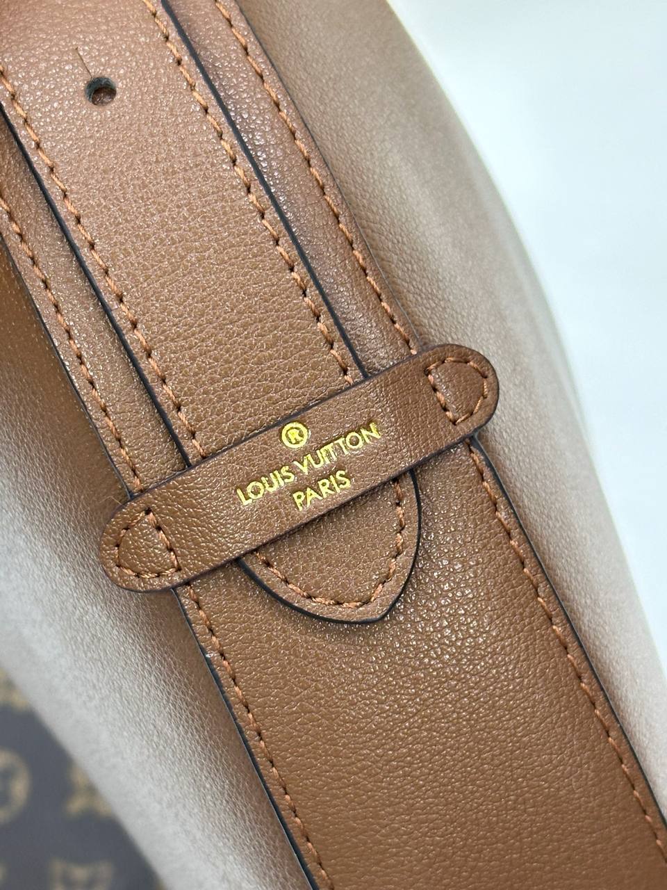 Сумка Louis Vuitton 6