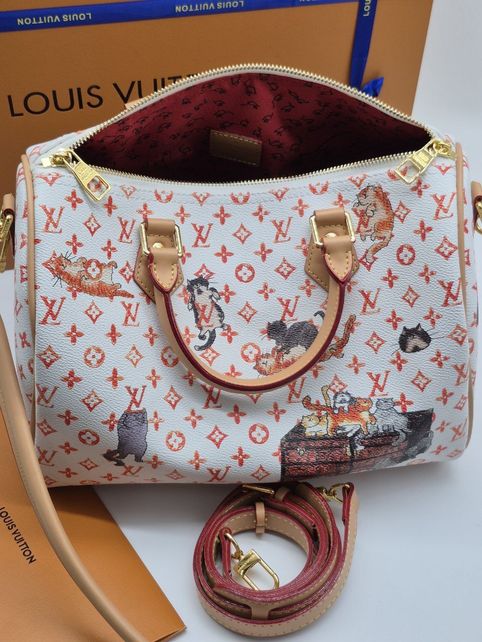 Сумка Louis Vuitton 6