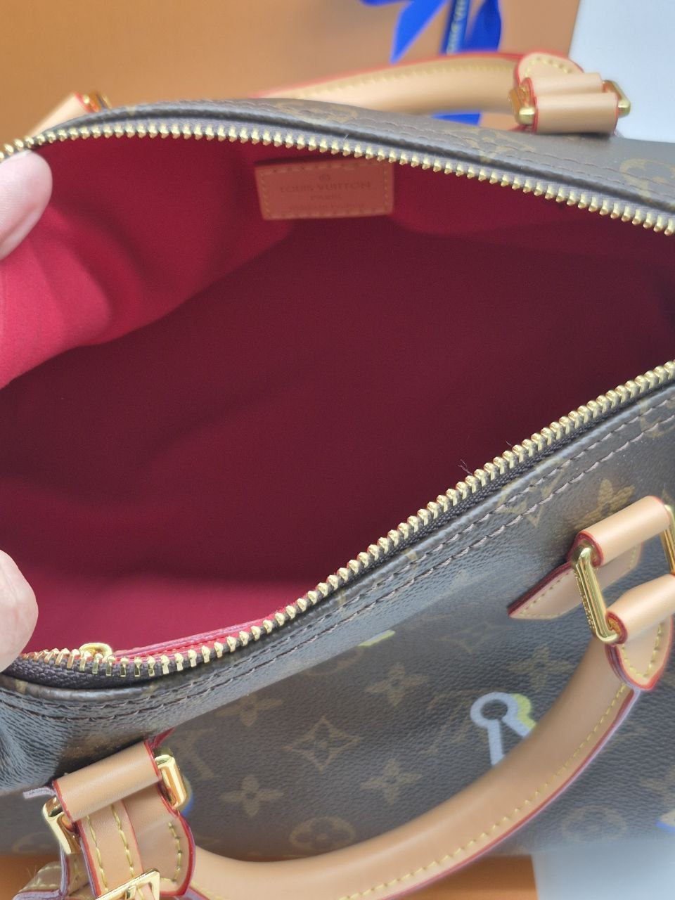 Сумка Louis Vuitton 5