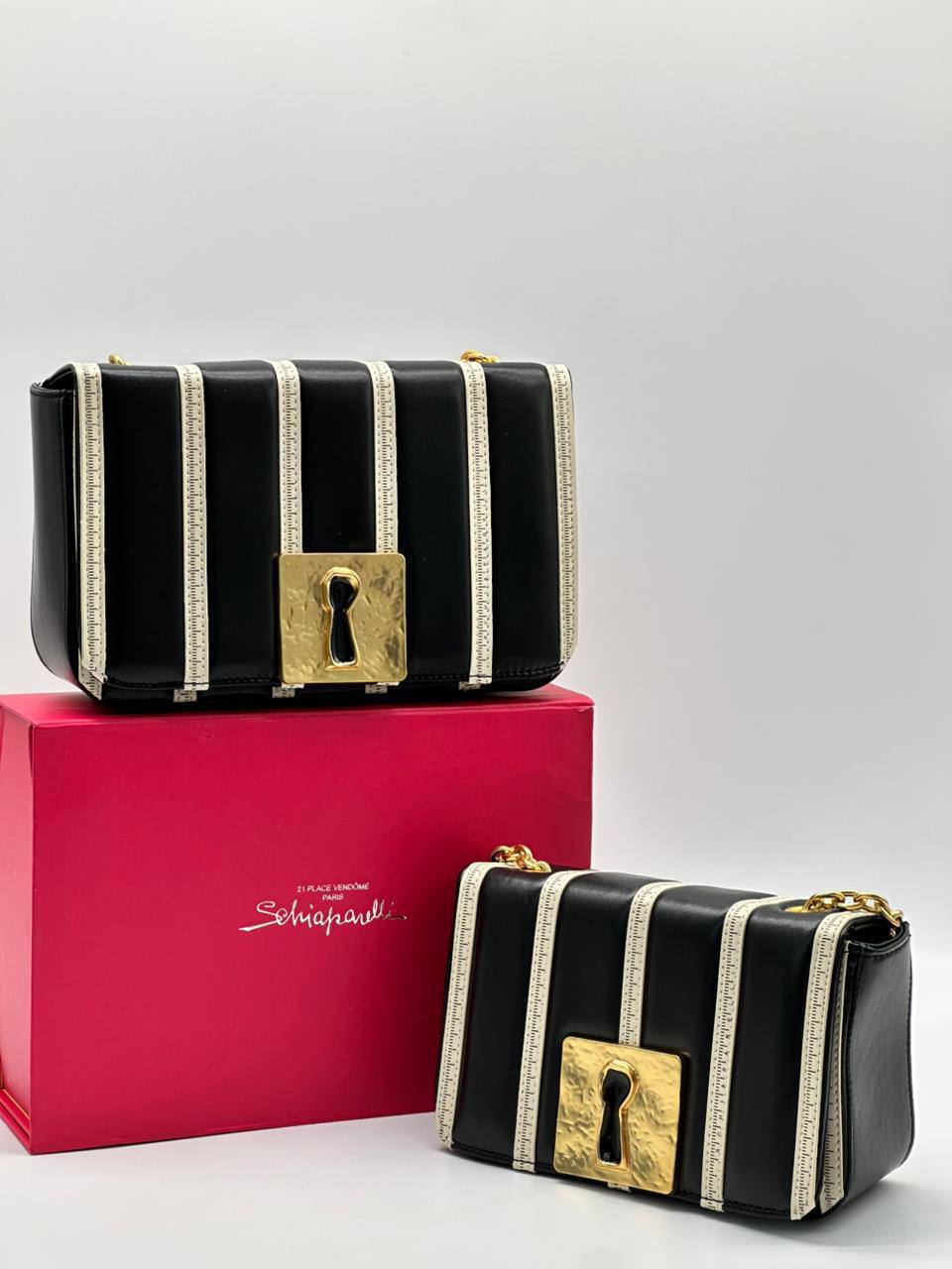 Сумка Schiaparelli 3