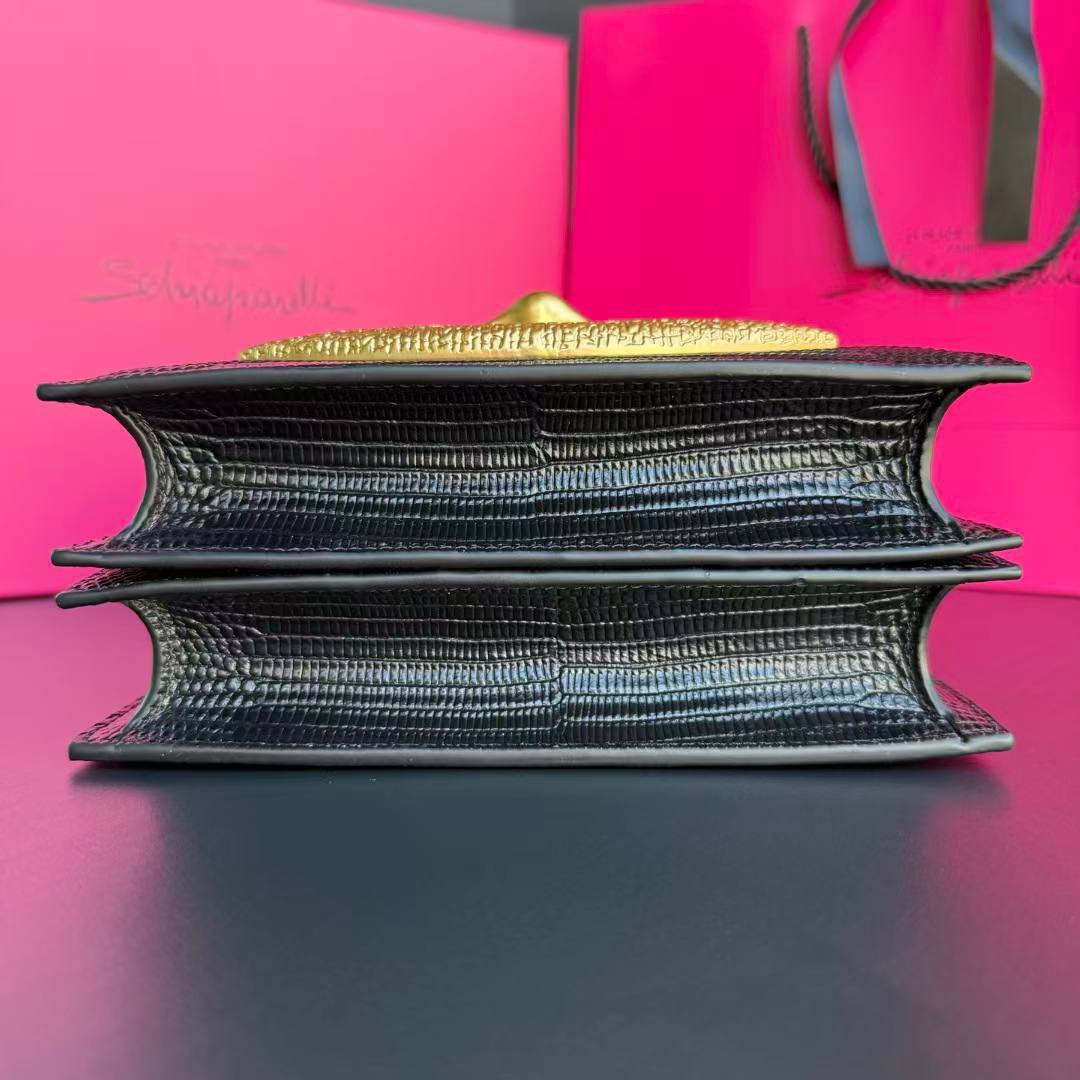 Сумка Schiaparelli 5