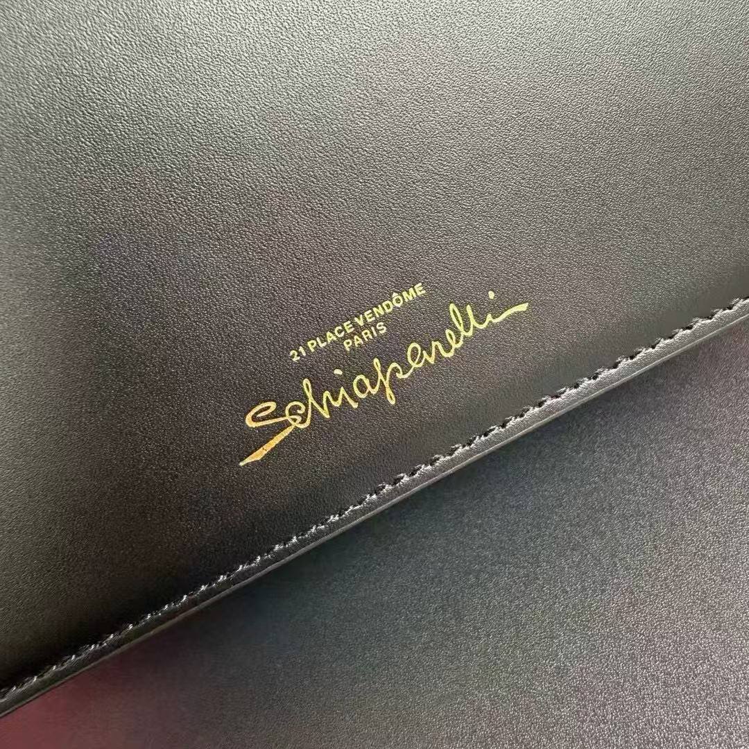 Сумка Schiaparelli 4