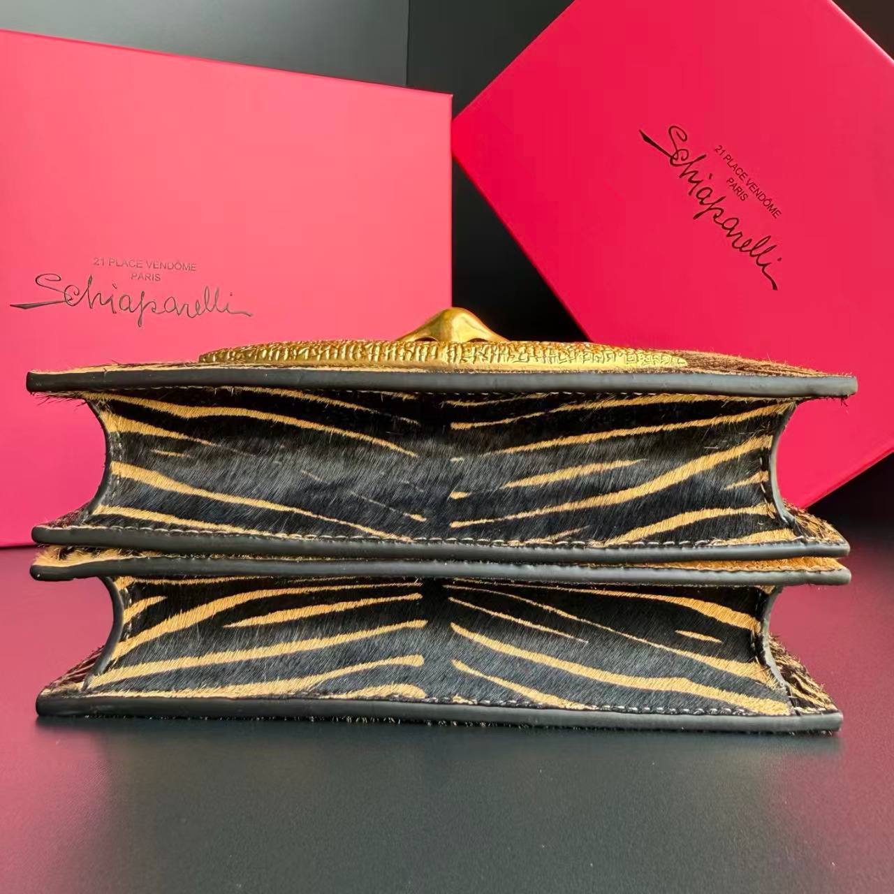 Сумка Schiaparelli 5