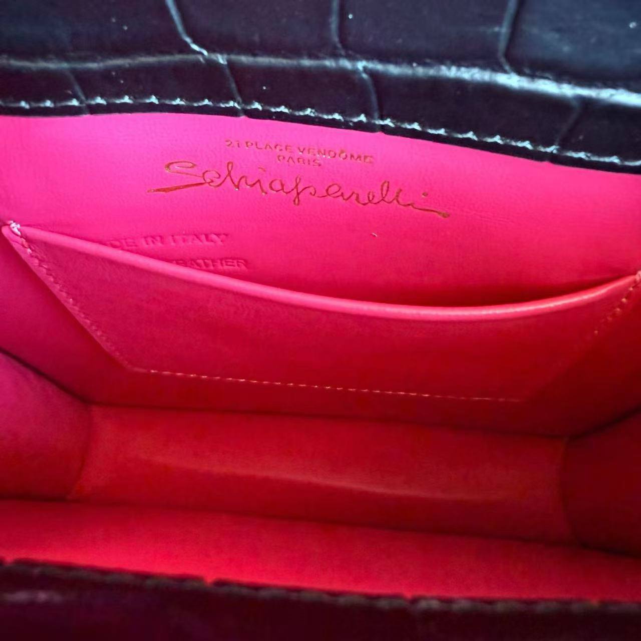 Сумка Schiaparelli 6