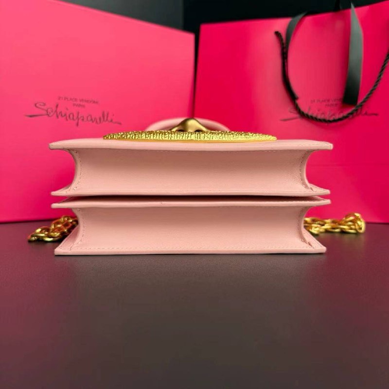 Сумка Schiaparelli 4