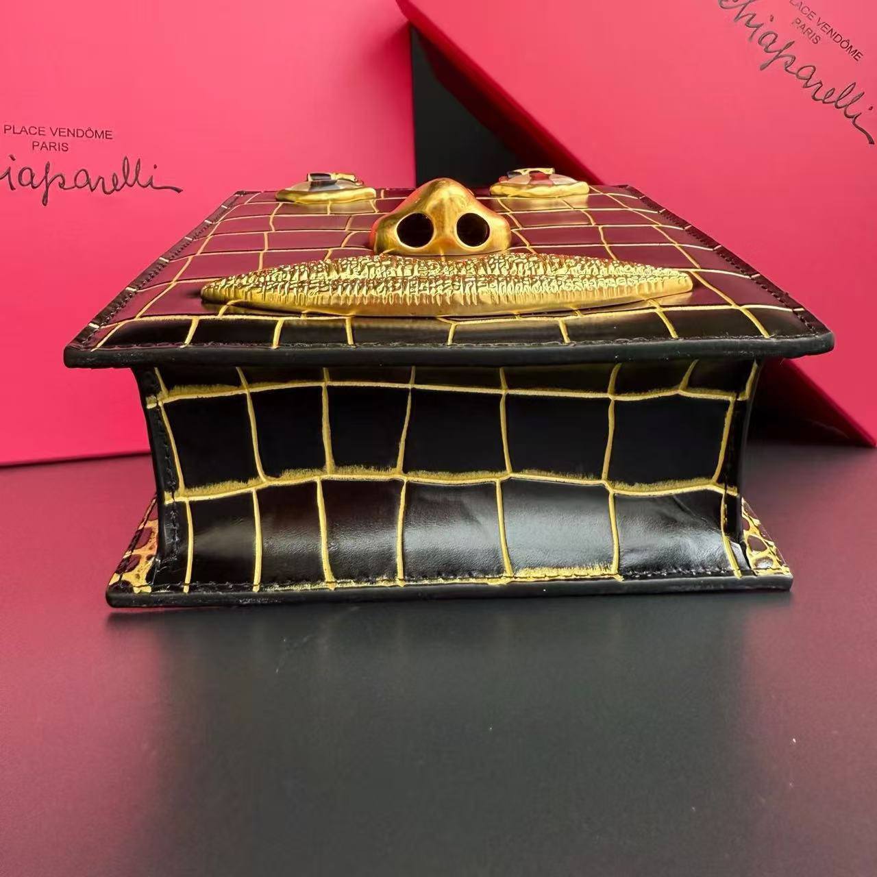 Сумка Schiaparelli 4